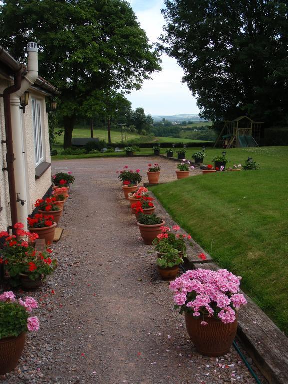 Brambles Bed And Breakfast Tiverton  Quarto foto