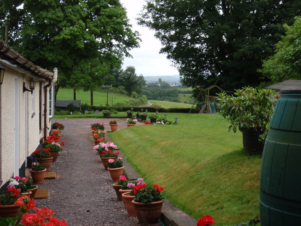 Brambles Bed And Breakfast Tiverton  Exterior foto