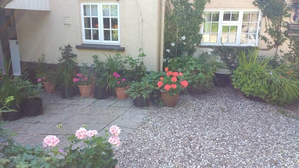 Brambles Bed And Breakfast Tiverton  Exterior foto