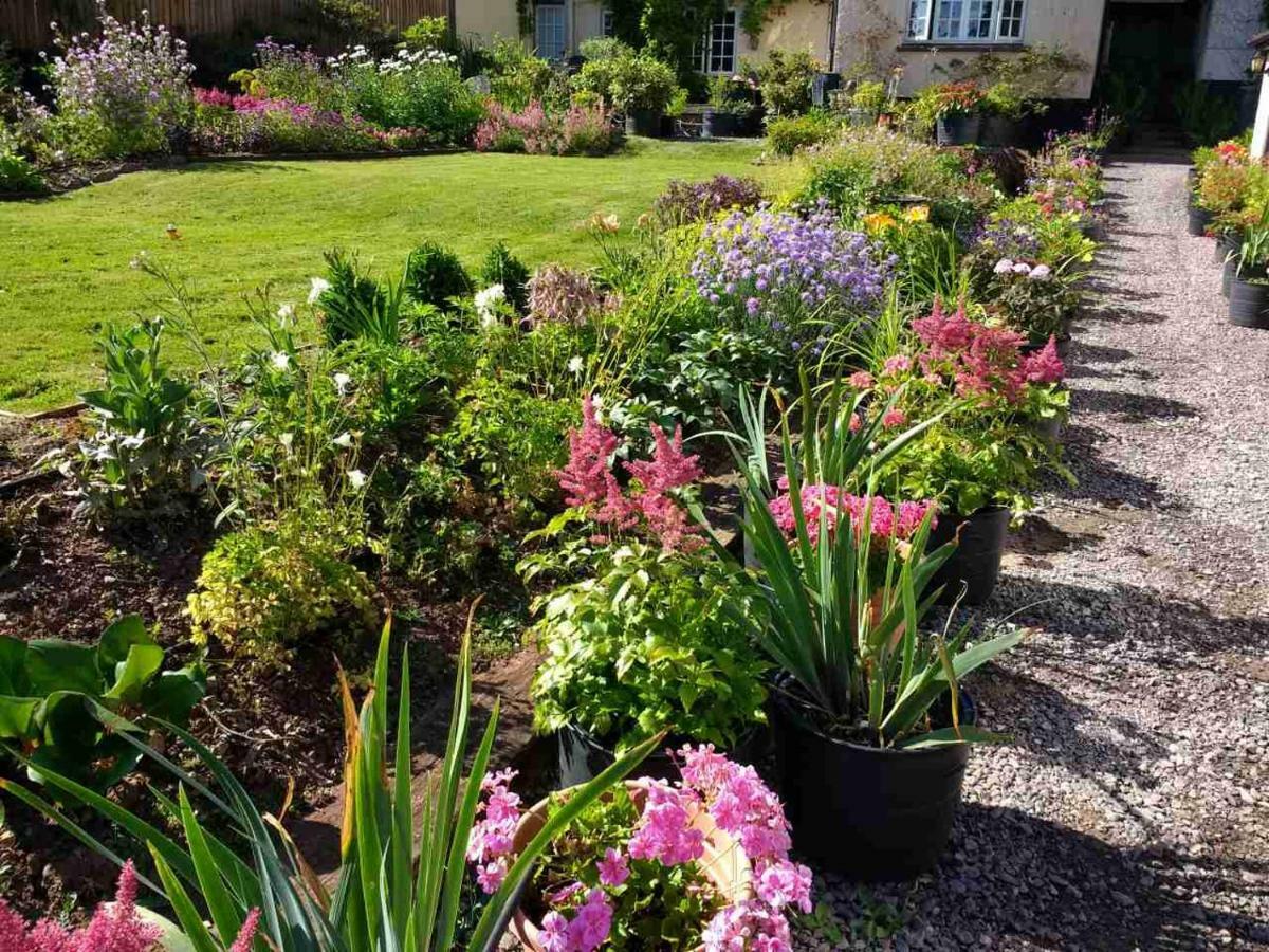 Brambles Bed And Breakfast Tiverton  Exterior foto