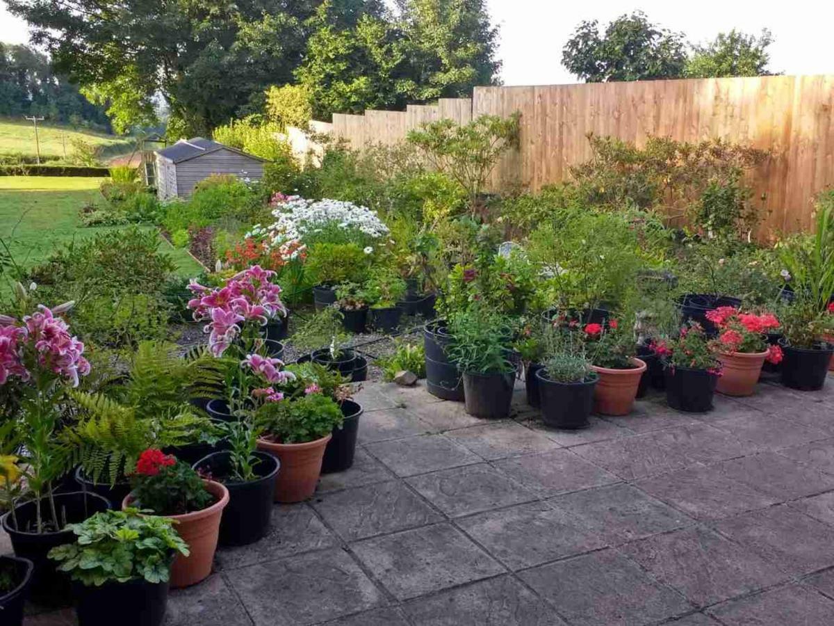 Brambles Bed And Breakfast Tiverton  Exterior foto