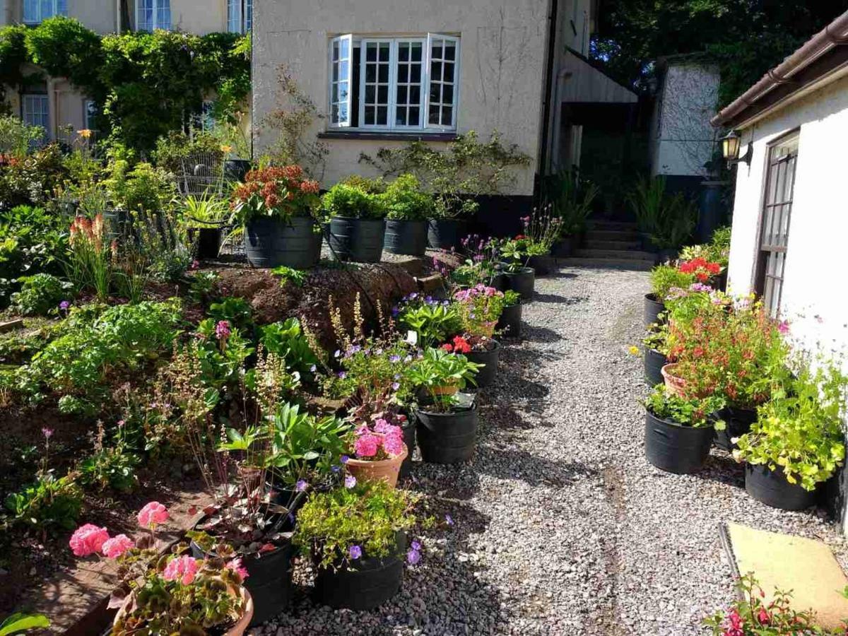 Brambles Bed And Breakfast Tiverton  Exterior foto