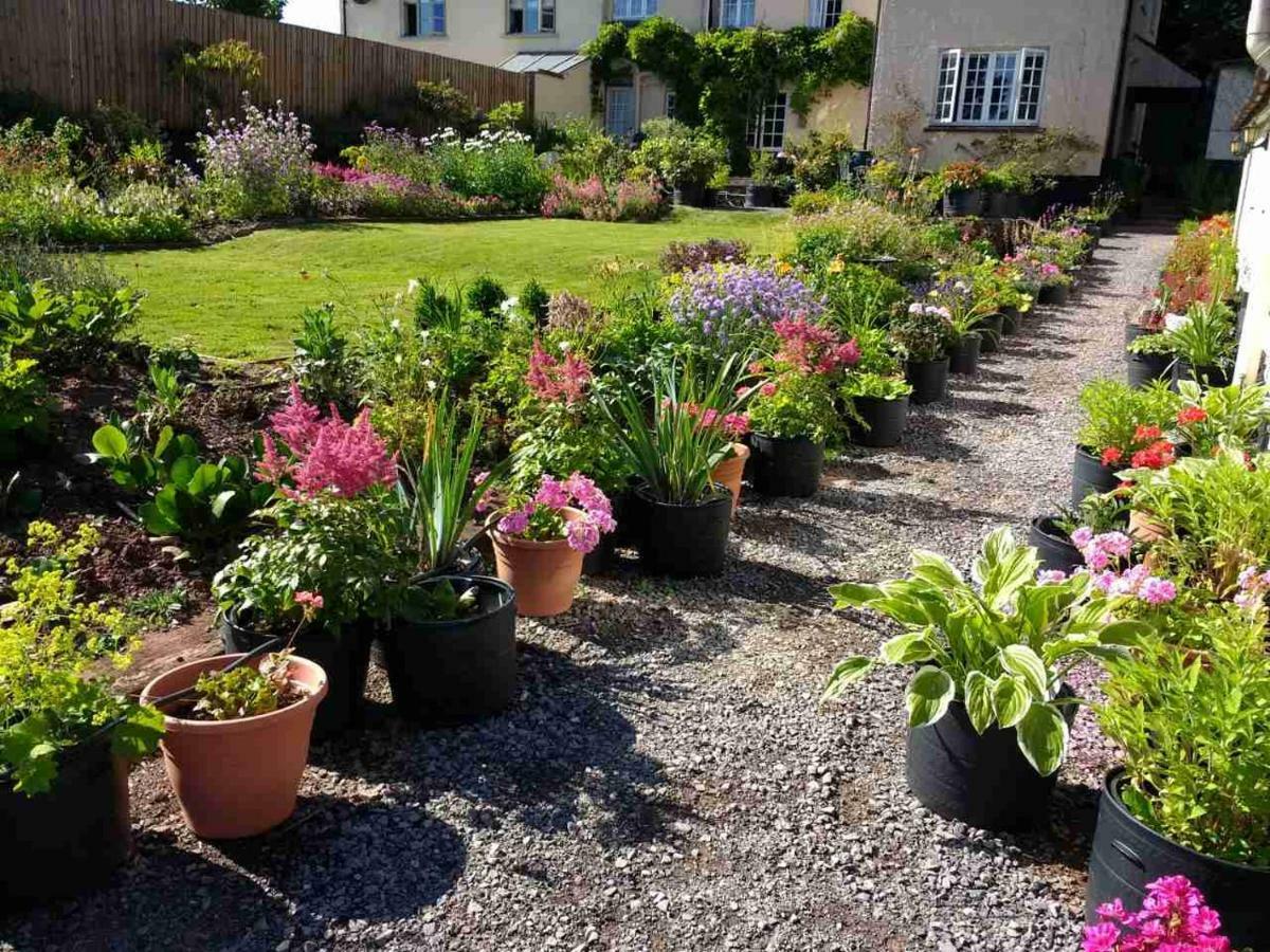 Brambles Bed And Breakfast Tiverton  Exterior foto